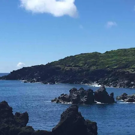 Alegria #2 - Steps To The Ocean! * Capelo